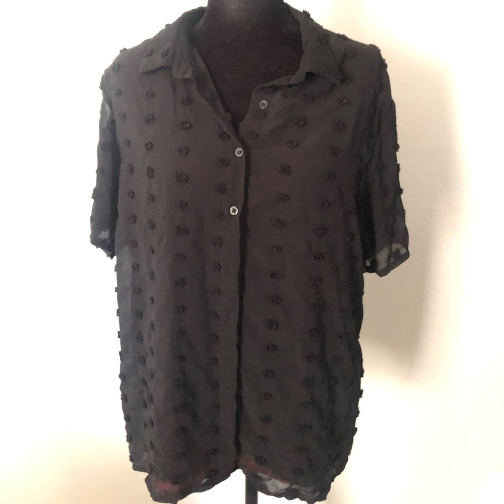 V-Neck Chiffon Pom Pom Blouse - Picture 3 of 6
